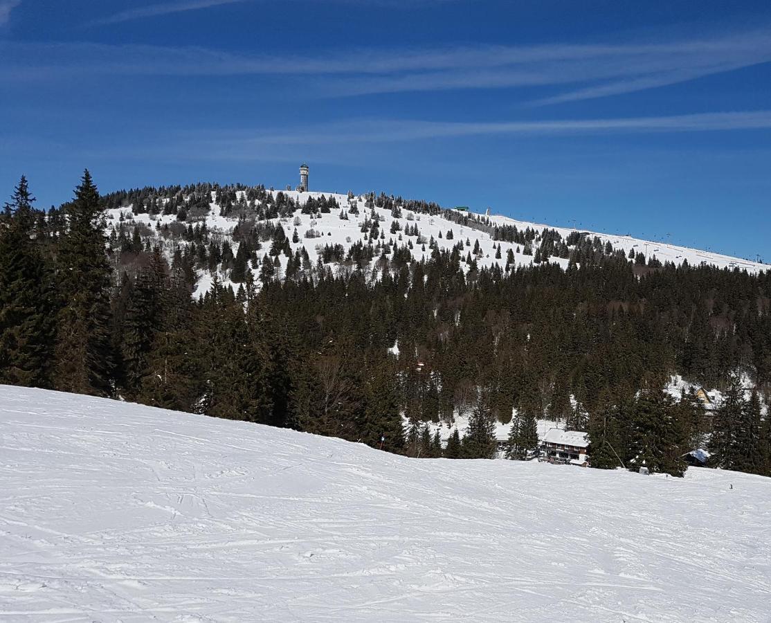 Enjoy Ferienwohnung Feldberg Grafenmatt Экстерьер фото