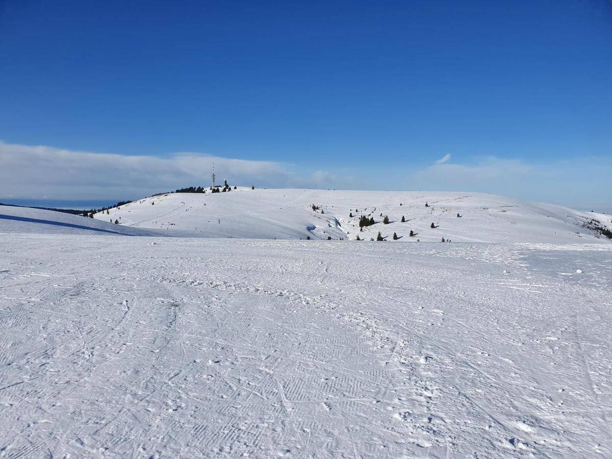 Enjoy Ferienwohnung Feldberg Grafenmatt Экстерьер фото