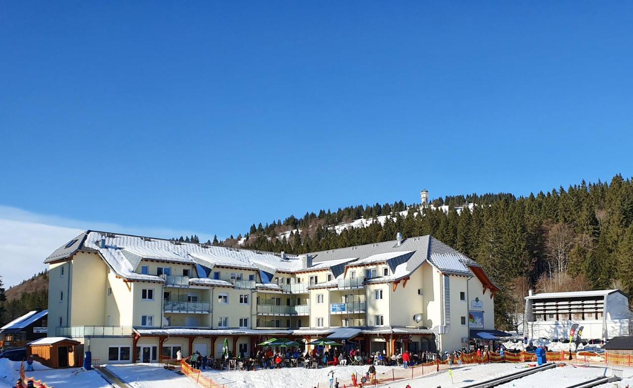 Enjoy Ferienwohnung Feldberg Grafenmatt Экстерьер фото